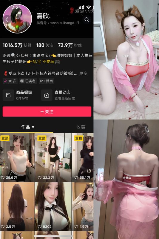 抖音 嘉欣 微密圈  NO.011 【17P4V】最新至：2025.5.12-告白写真馆