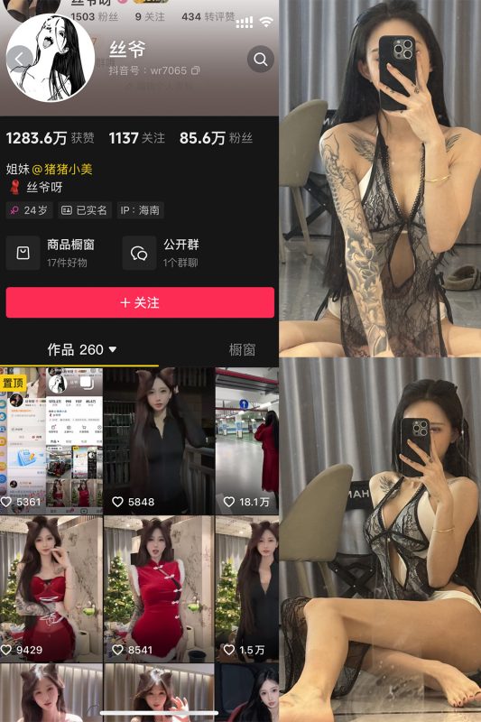 抖音 丝爷 微密圈 NO.003期 【52P4V】最新至：2024.12.13-告白写真馆