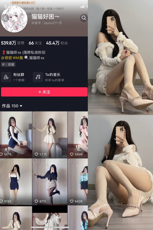 抖音 猫猫好困 微密圈  NO.030期 【81P】最新至：2024.4.29-告白写真馆