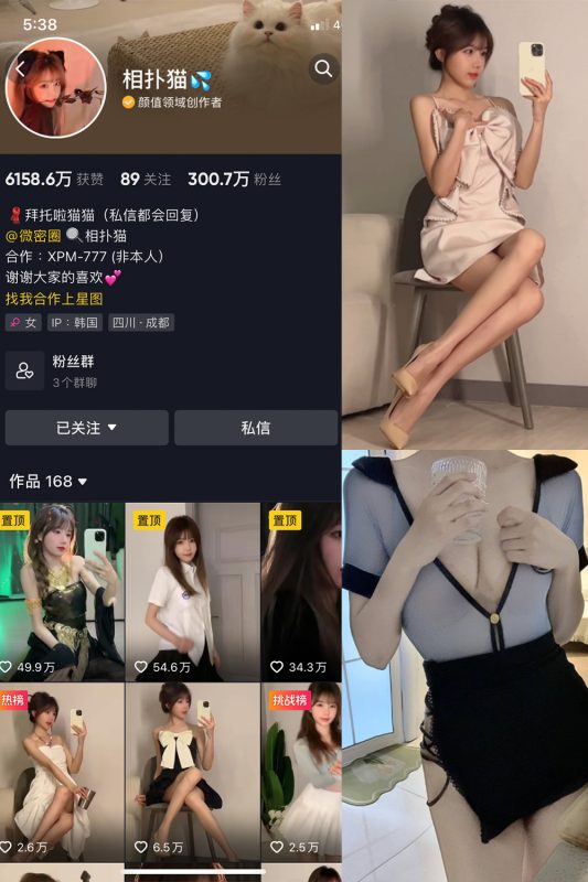 抖音 相扑猫 微密圈  NO.005期 【11P】-告白写真馆