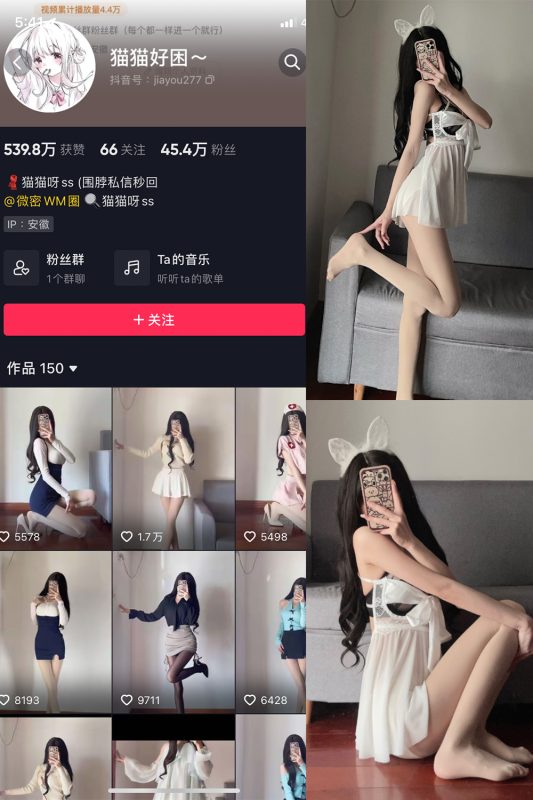 抖音 猫猫好困 微密圈  NO.018期 【22P】-告白写真馆