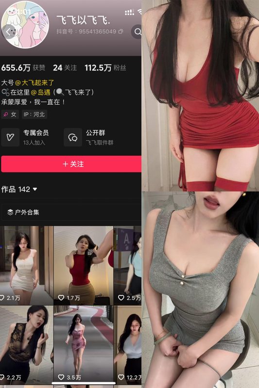 抖音 飞飞以飞飞 岛遇 NO.002期 【20P5V】-告白写真馆